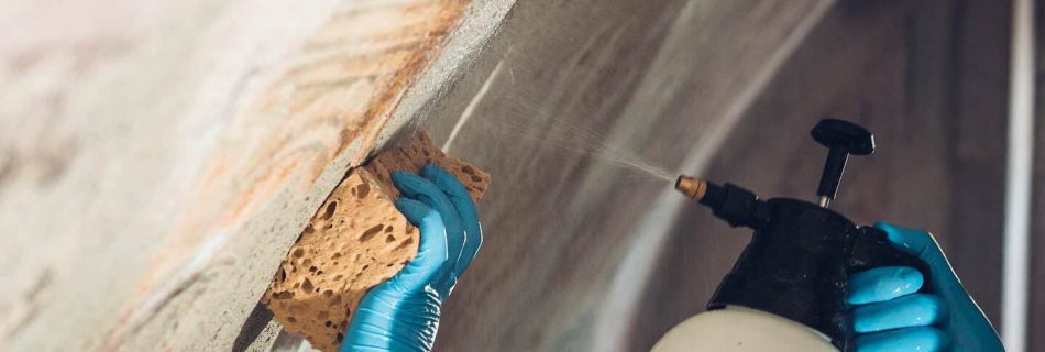 Descoberta pinturas Nasoni Porto WOW revela tesouros barrocos escondidos há 200 anos numa capela histórica. Conheça a fascinante história completa deste restauro.